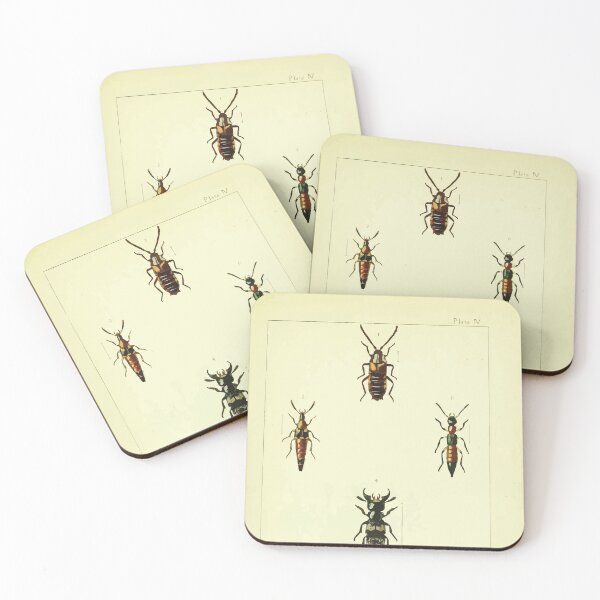 Item preview, British beetles an introduction to the study of our indigenous Coleoptera by Edward Caldwell Rye 1866 318 designed and sold by WetdryvacRB01.