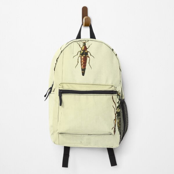 Item preview, British beetles an introduction to the study of our indigenous Coleoptera by Edward Caldwell Rye 1866 318 designed and sold by WetdryvacRB01.