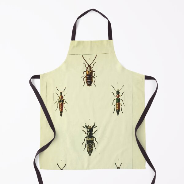 Item preview, British beetles an introduction to the study of our indigenous Coleoptera by Edward Caldwell Rye 1866 318 designed and sold by WetdryvacRB01.