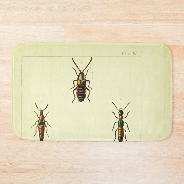 Item preview, British beetles an introduction to the study of our indigenous Coleoptera by Edward Caldwell Rye 1866 318 designed and sold by WetdryvacRB01.