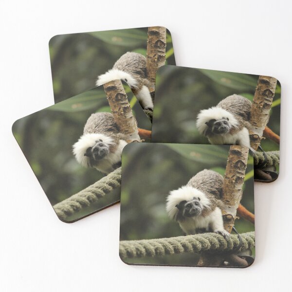 Item preview, Cotton Top Tamarin designed and sold by OMGaZombieKing.