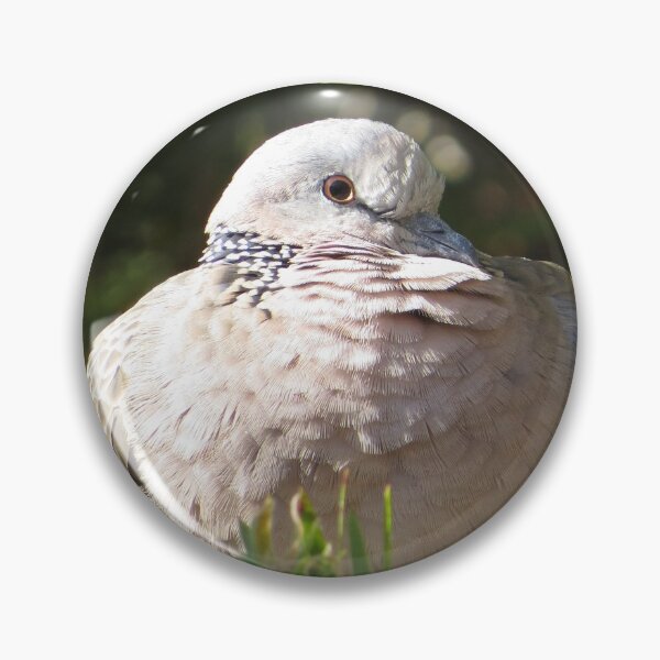Item preview, One of the Locals designed and sold by Honey Myrtle Studio.