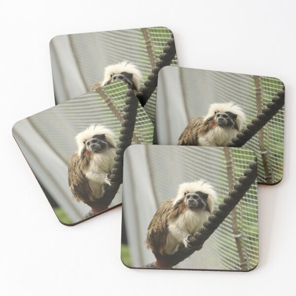 Item preview, Cotton  Top Tamarin  designed and sold by OMGaZombieKing.