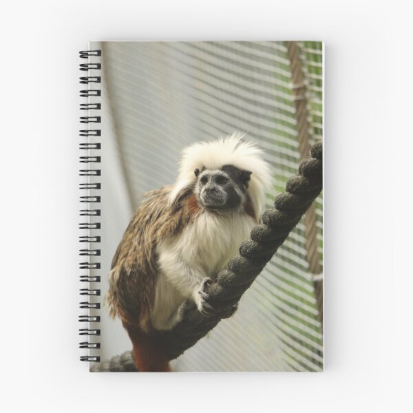 Item preview, Cotton  Top Tamarin  designed and sold by OMGaZombieKing.