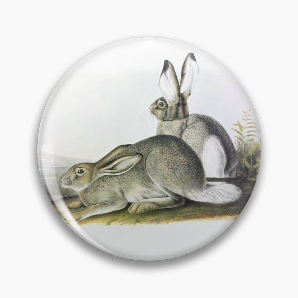 Item preview, Two Bunnies by J.J. Audubon 1842 designed and sold by ebrawne.
