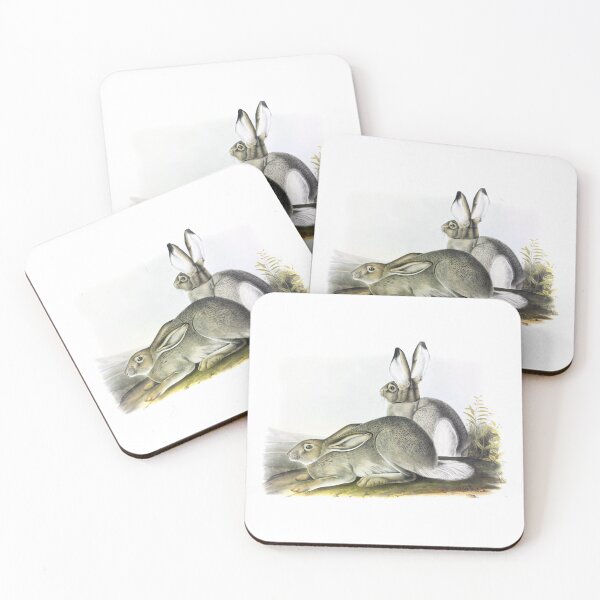 Item preview, Two Bunnies by J.J. Audubon 1842 designed and sold by ebrawne.