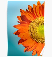 sunflowers Poster
