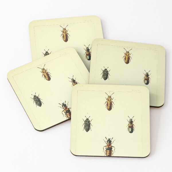 Item preview, British beetles an introduction to the study of our indigenous Coleoptera by Edward Caldwell Rye 1866 322 designed and sold by WetdryvacRB01.