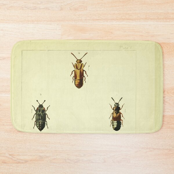 Item preview, British beetles an introduction to the study of our indigenous Coleoptera by Edward Caldwell Rye 1866 322 designed and sold by WetdryvacRB01.