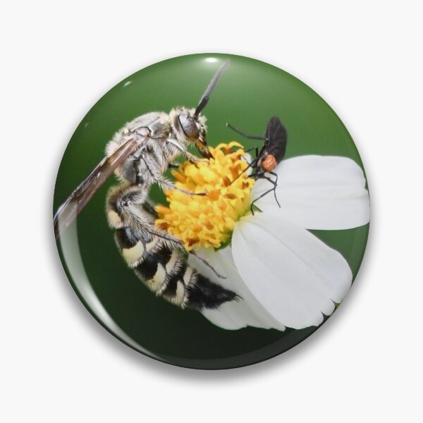 Item preview, The Wasp and The Bug designed and sold by richardbryce.