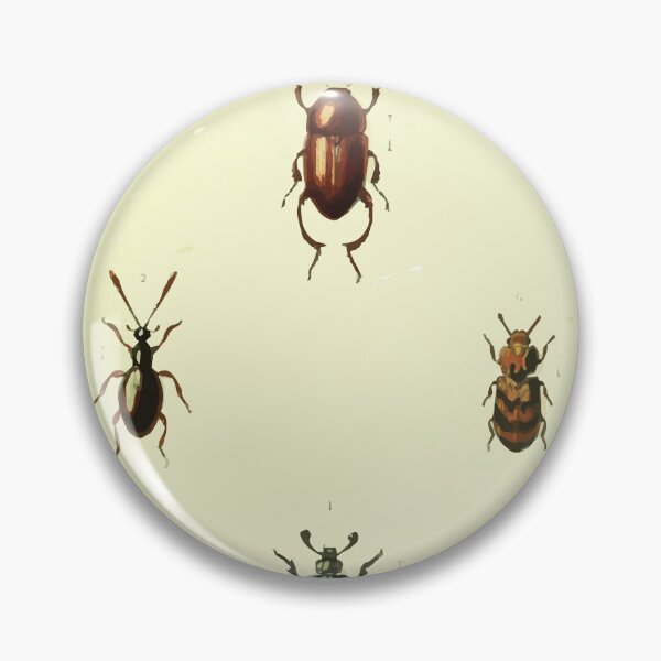 Artikelvorschau, Britische Käfer eine Einführung in das Studium unserer indigenen Coleoptera von Edward Caldwell Rye 1866 326 entworfen und verkauft von WetdryvacRB01.