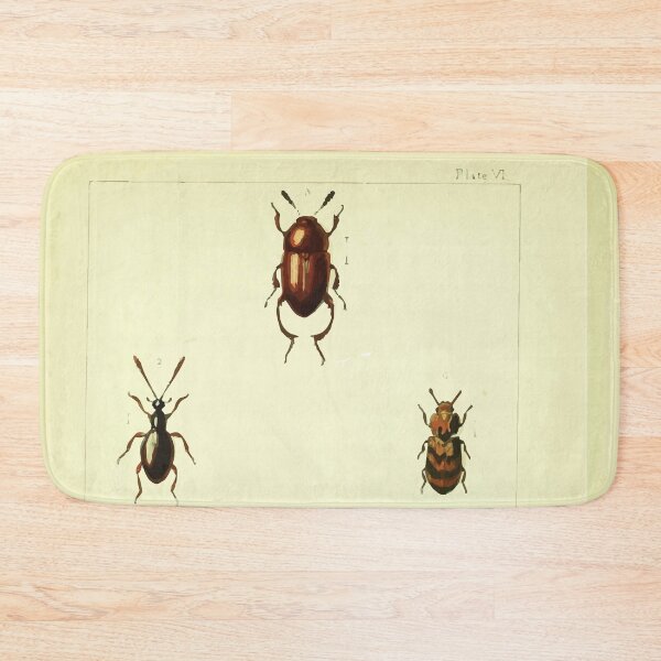 Item preview, British beetles an introduction to the study of our indigenous Coleoptera by Edward Caldwell Rye 1866 326 designed and sold by WetdryvacRB01.