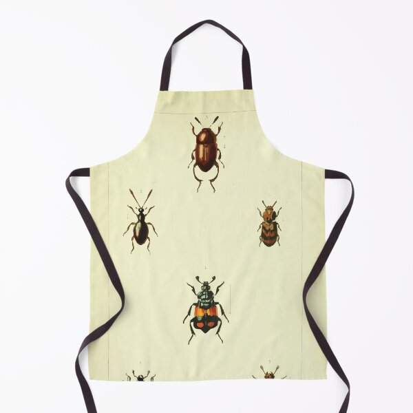 Artikelvorschau, Britische Käfer eine Einführung in das Studium unserer indigenen Coleoptera von Edward Caldwell Rye 1866 326 entworfen und verkauft von WetdryvacRB01.