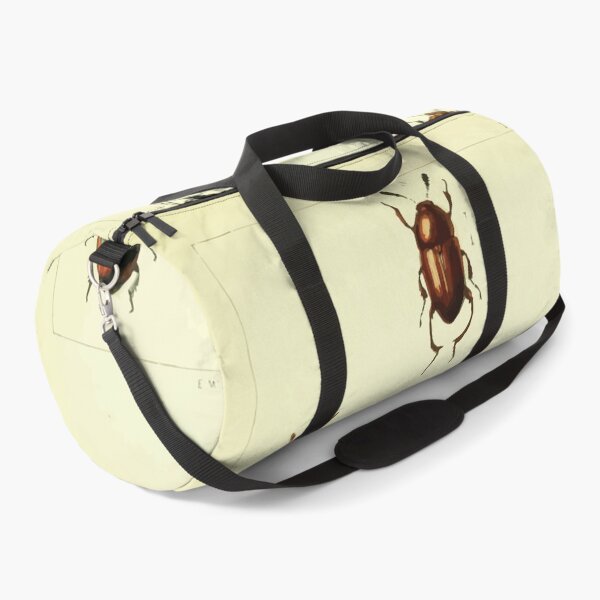 Item preview, British beetles an introduction to the study of our indigenous Coleoptera by Edward Caldwell Rye 1866 326 designed and sold by WetdryvacRB01.