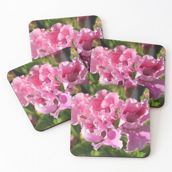Item preview, Pretty Pink Pelargonium designed and sold by Honey Myrtle Studio.