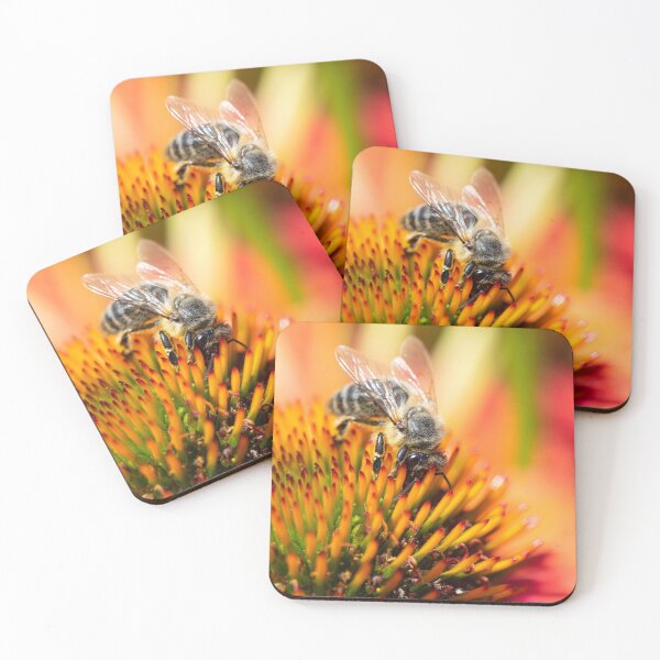 Item preview, Busy bee on Echinacea blossom designed and sold by rhintl.