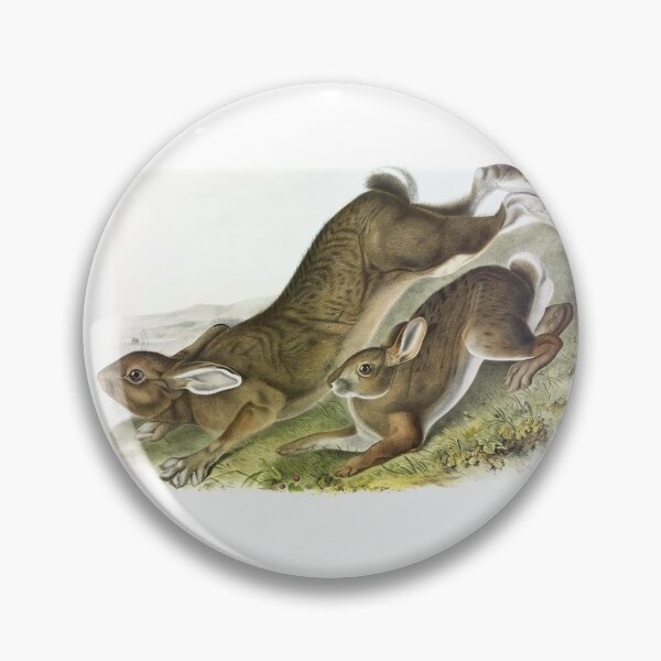 Item preview, Two Bunnies in the summer by J.J. Audubon 1843 designed and sold by ebrawne.