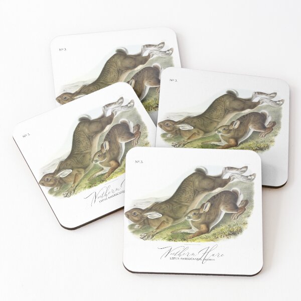Item preview, Two Bunnies in the summer by J.J. Audubon 1843 designed and sold by ebrawne.