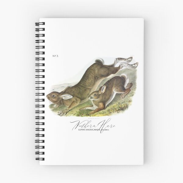 Item preview, Two Bunnies in the summer by J.J. Audubon 1843 designed and sold by ebrawne.
