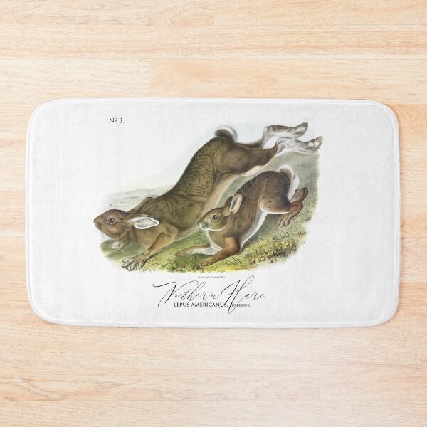 Item preview, Two Bunnies in the summer by J.J. Audubon 1843 designed and sold by ebrawne.