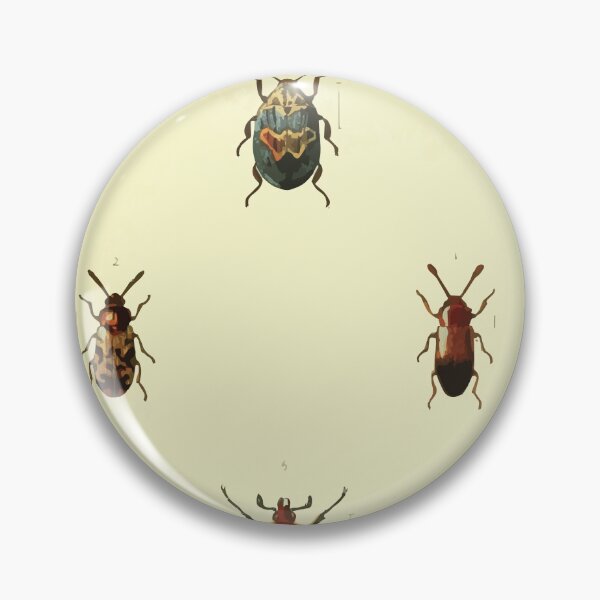 Artikelvorschau, Britische Käfer eine Einführung in das Studium unserer indigenen Coleoptera von Edward Caldwell Rye 1866 330 entworfen und verkauft von WetdryvacRB01.