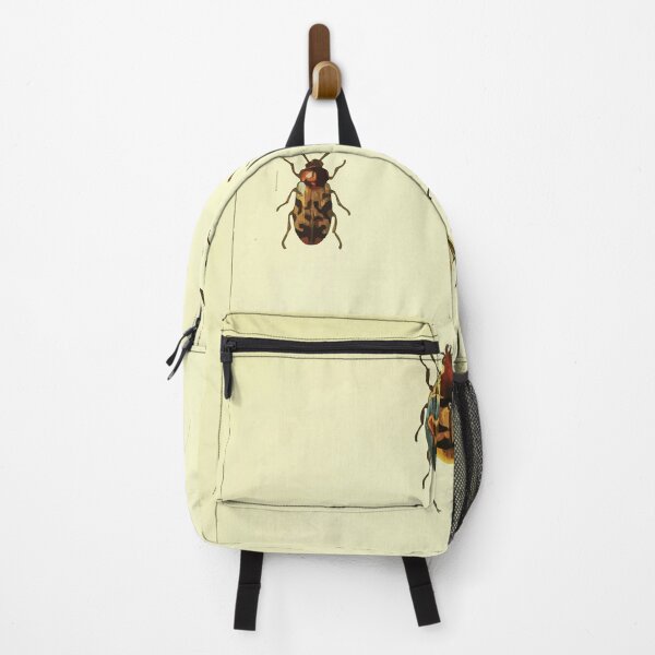 Item preview, British beetles an introduction to the study of our indigenous Coleoptera by Edward Caldwell Rye 1866 330 designed and sold by WetdryvacRB01.