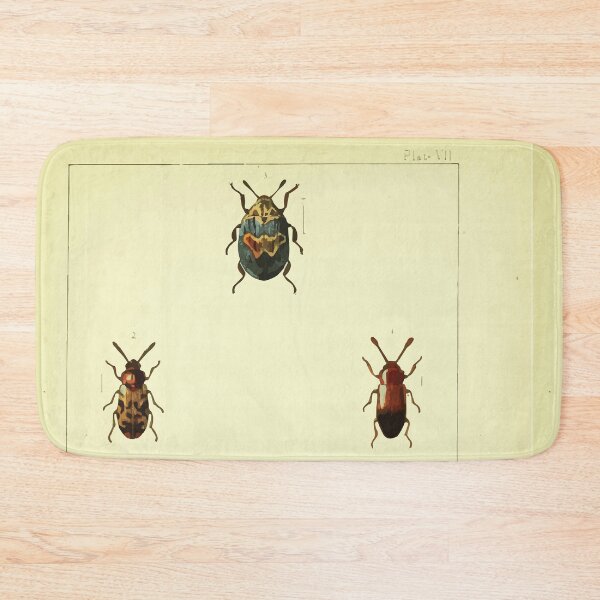 Item preview, British beetles an introduction to the study of our indigenous Coleoptera by Edward Caldwell Rye 1866 330 designed and sold by WetdryvacRB01.