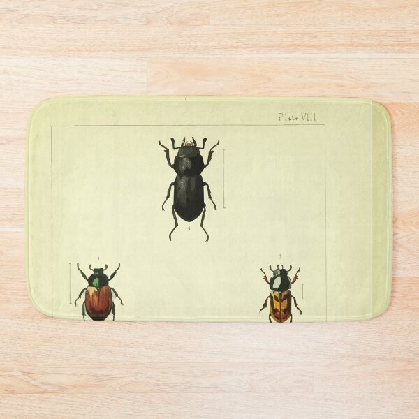 Item preview, British beetles an introduction to the study of our indigenous Coleoptera by Edward Caldwell Rye 1866 334 designed and sold by WetdryvacRB01.