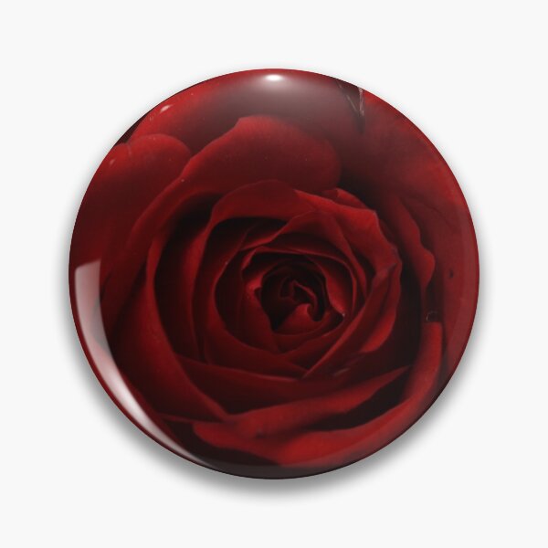Item preview, Rose photography  designed and sold by mihidunii.