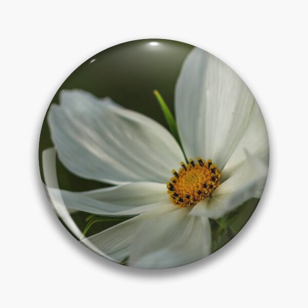 Item preview, Cosmos Purity in morning light. designed and sold by John Ray.