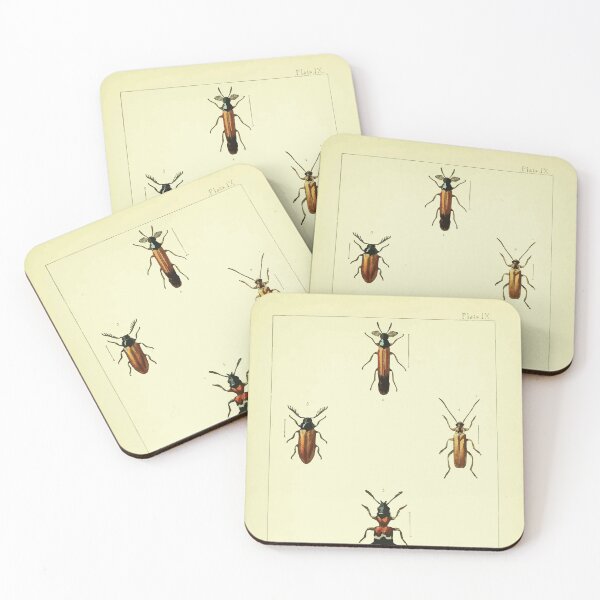 Item preview, British beetles an introduction to the study of our indigenous Coleoptera by Edward Caldwell Rye 1866 338 designed and sold by WetdryvacRB01.
