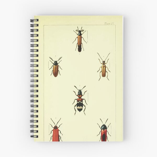 Item preview, British beetles an introduction to the study of our indigenous Coleoptera by Edward Caldwell Rye 1866 338 designed and sold by WetdryvacRB01.