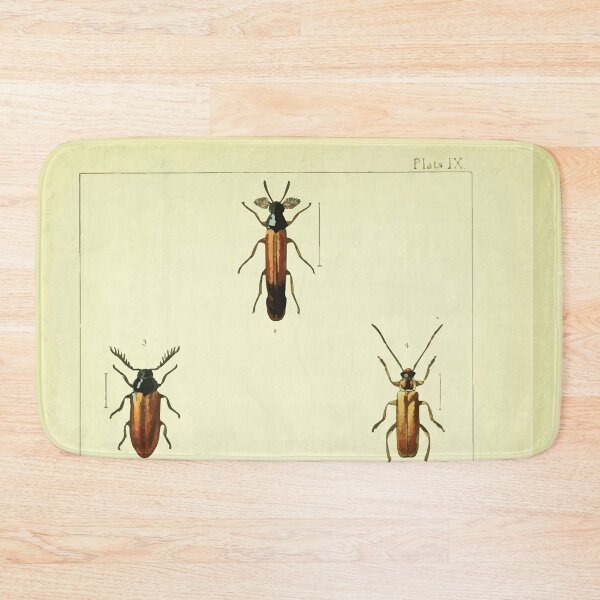 Item preview, British beetles an introduction to the study of our indigenous Coleoptera by Edward Caldwell Rye 1866 338 designed and sold by WetdryvacRB01.