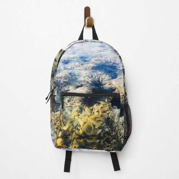 Item preview, Sea Urchin designed and sold by Filmprints.
