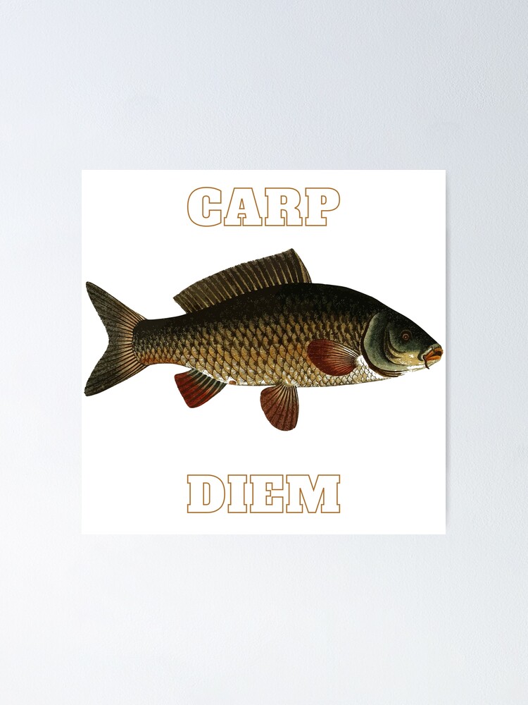 Carp Diem Carpe Diem Fishing Fish Poster for Sale by