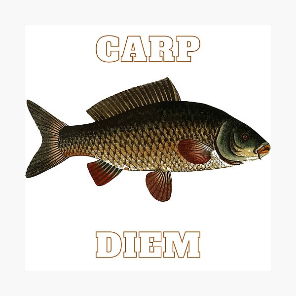 Carp Diem Carpe Diem Fishing Fish Photographic Print