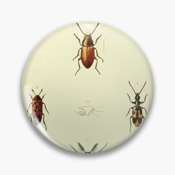 Item preview, British beetles an introduction to the study of our indigenous Coleoptera by Edward Caldwell Rye 1866 342 designed and sold by WetdryvacRB01.