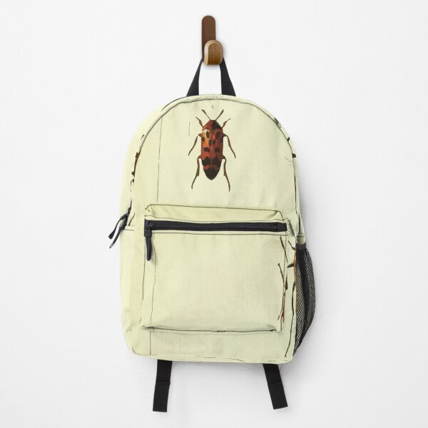 Item preview, British beetles an introduction to the study of our indigenous Coleoptera by Edward Caldwell Rye 1866 342 designed and sold by WetdryvacRB01.
