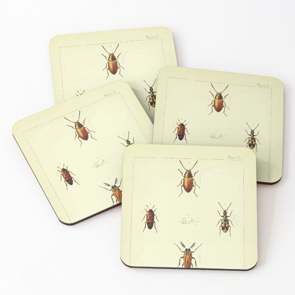 Item preview, British beetles an introduction to the study of our indigenous Coleoptera by Edward Caldwell Rye 1866 342 designed and sold by WetdryvacRB01.