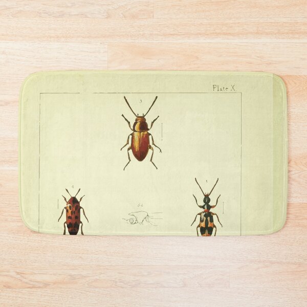 Item preview, British beetles an introduction to the study of our indigenous Coleoptera by Edward Caldwell Rye 1866 342 designed and sold by WetdryvacRB01.
