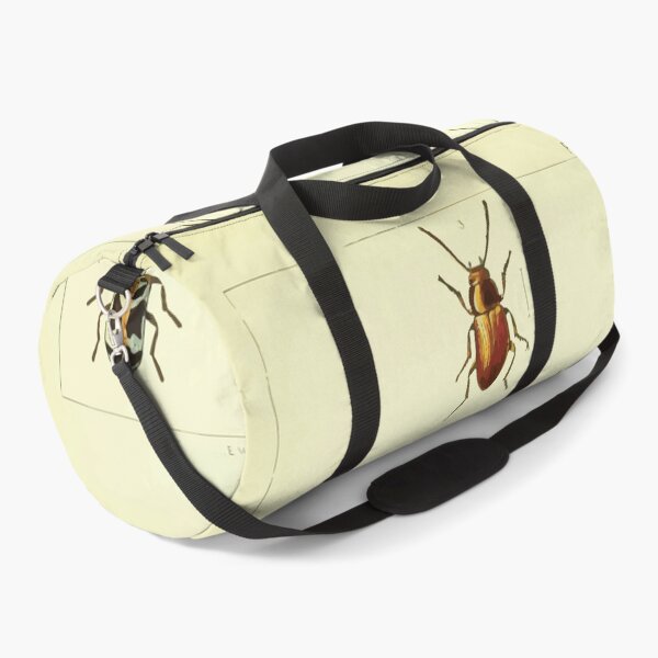 Item preview, British beetles an introduction to the study of our indigenous Coleoptera by Edward Caldwell Rye 1866 342 designed and sold by WetdryvacRB01.