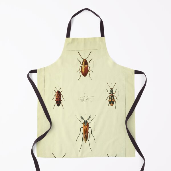 Item preview, British beetles an introduction to the study of our indigenous Coleoptera by Edward Caldwell Rye 1866 342 designed and sold by WetdryvacRB01.