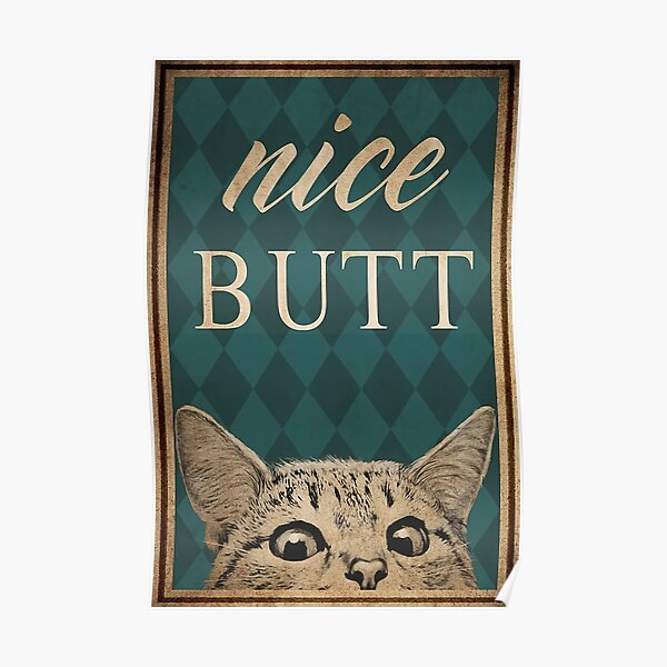 NB cat remember wine Poster