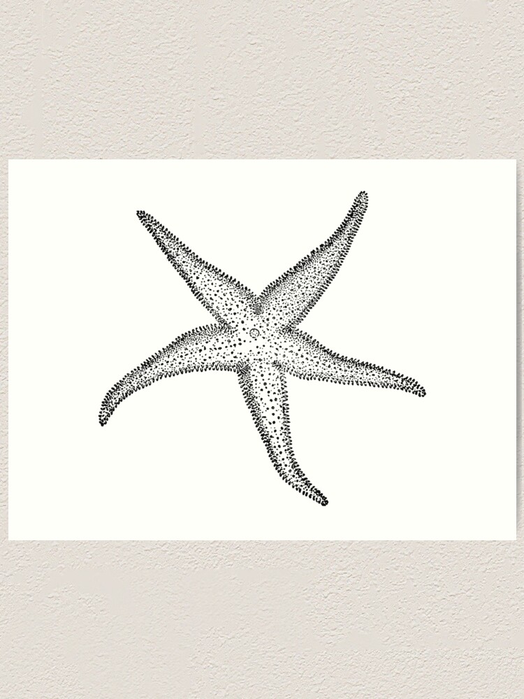 Black and white starfish drawing Greeting Card for Sale by Pencil-Art