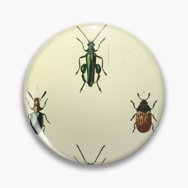 Artikelvorschau, Britische Käfer eine Einführung in das Studium unserer indigenen Coleoptera von Edward Caldwell Rye 1866 346 entworfen und verkauft von WetdryvacRB01.