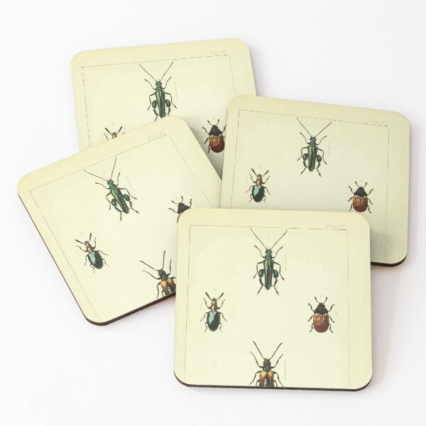 Artikelvorschau, Britische Käfer eine Einführung in das Studium unserer indigenen Coleoptera von Edward Caldwell Rye 1866 346 entworfen und verkauft von WetdryvacRB01.
