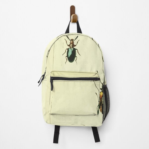 Item preview, British beetles an introduction to the study of our indigenous Coleoptera by Edward Caldwell Rye 1866 346 designed and sold by WetdryvacRB01.