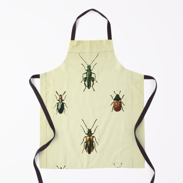Artikelvorschau, Britische Käfer eine Einführung in das Studium unserer indigenen Coleoptera von Edward Caldwell Rye 1866 346 entworfen und verkauft von WetdryvacRB01.