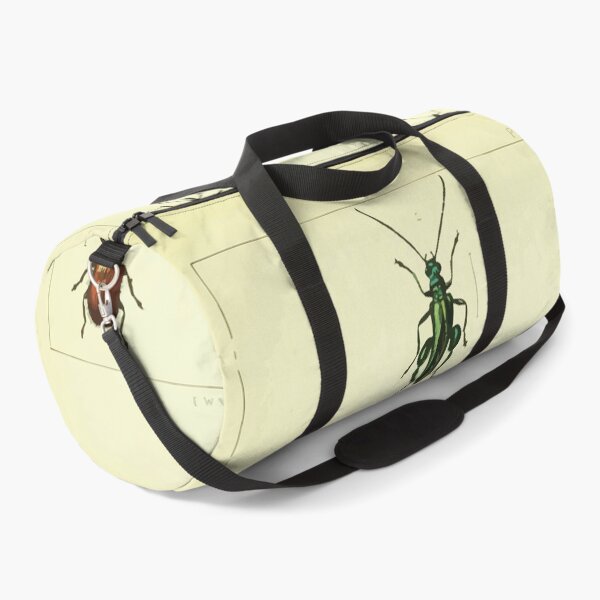 Item preview, British beetles an introduction to the study of our indigenous Coleoptera by Edward Caldwell Rye 1866 346 designed and sold by WetdryvacRB01.