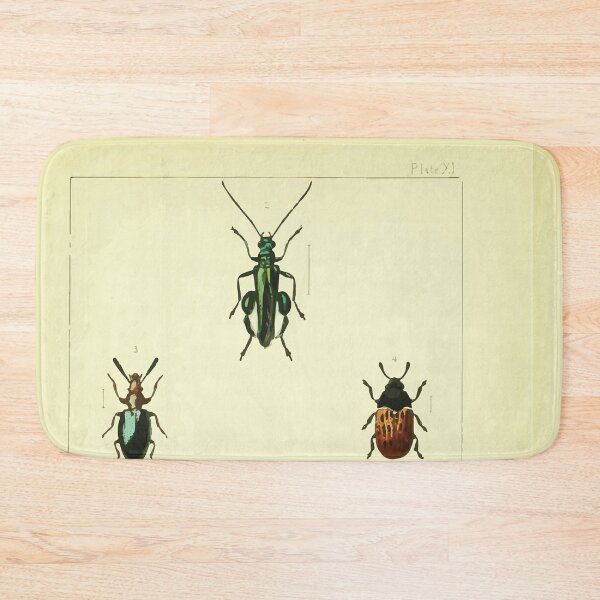 Item preview, British beetles an introduction to the study of our indigenous Coleoptera by Edward Caldwell Rye 1866 346 designed and sold by WetdryvacRB01.